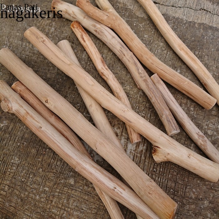 

Dahan bahan macrame | ranting kayu jati kering 50 cm | teak wood murah FXN6 XD7