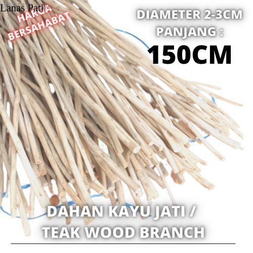 

[ Promo ] Macrame teak wood Branch 150Cm dahan ranting kayu jati halus murah terlaris XD10