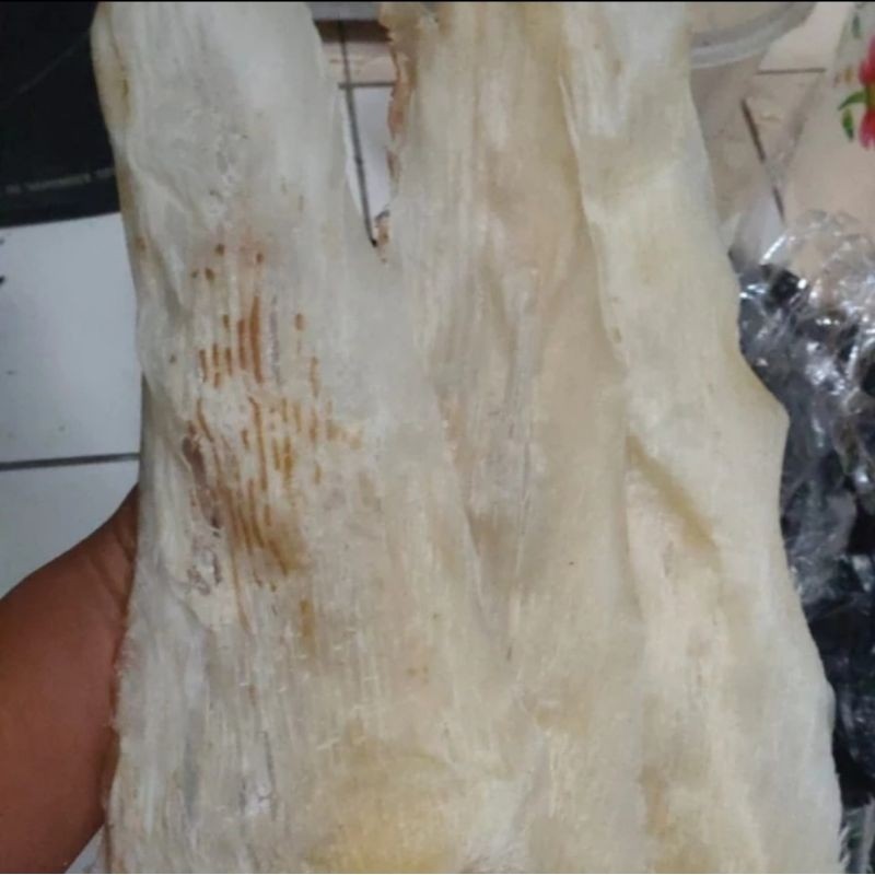 

Sirip Ikan Hiu Jumbo 100gr 40-50cm - Anugrah Megah