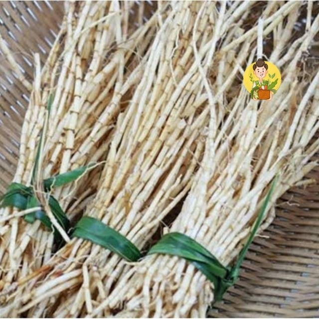 

Akar Alang - Alang Fresh 100 gram - Sayur Segar Instan Malang