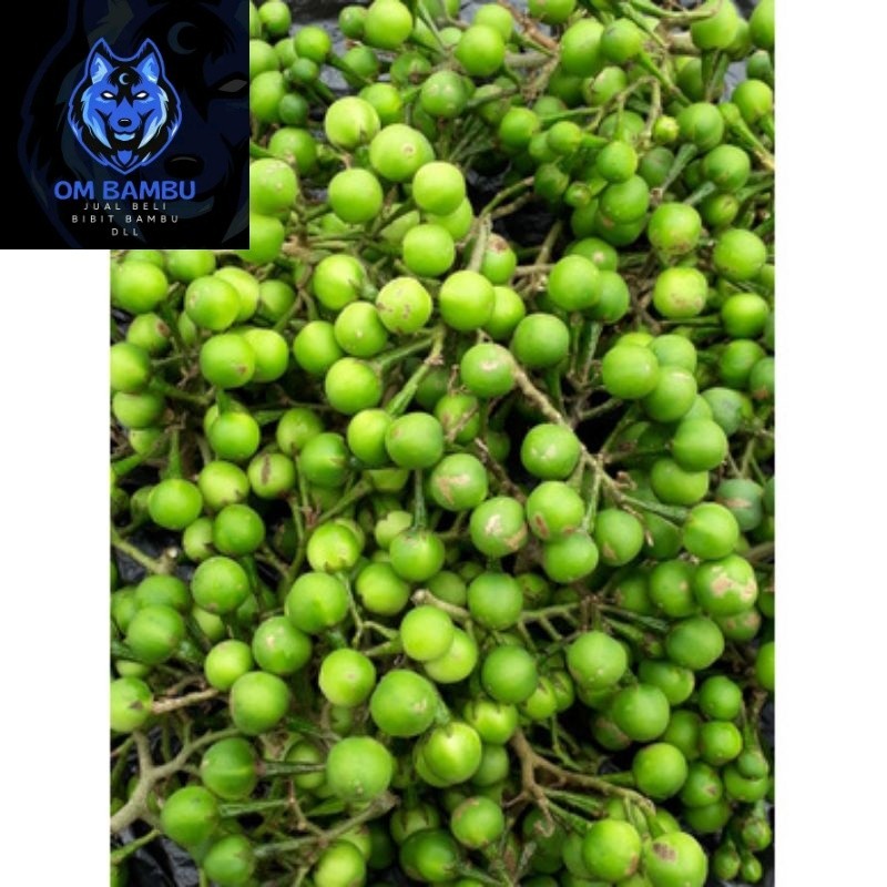 

Buah Takokak Buah Tepokak Buah Rimbang Segar 250gram