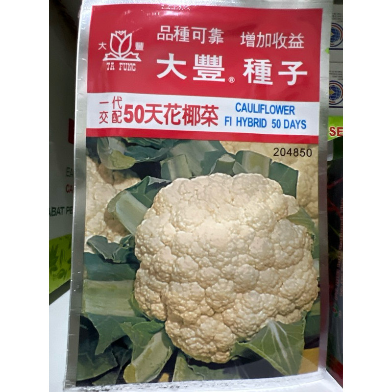 Benih Bungkul tafung bunga kol cauliflower tafung 10gram bunga kol hibrida 50hari panen dari ta fung