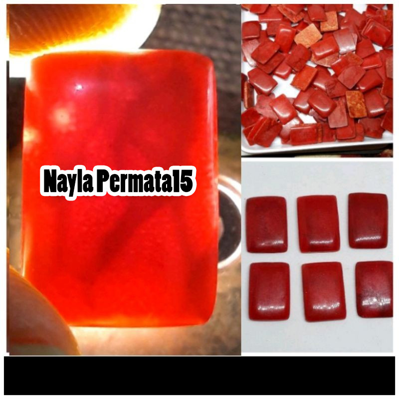 Batu red marjan coral model kotak