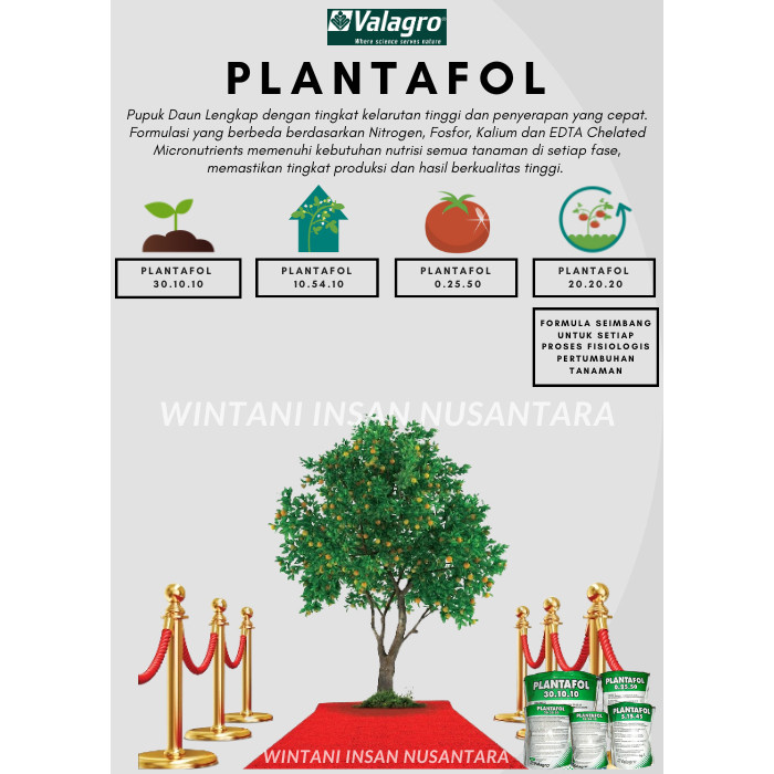 Pupuk NPK - Pupuk Padat Valagro PLANTAFOL 20.20.20 isi 200 Gr #Valagro