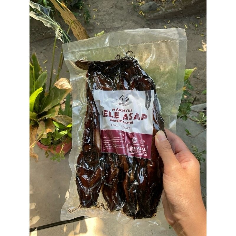

lele asap siap saji tinggal hap kaya protein