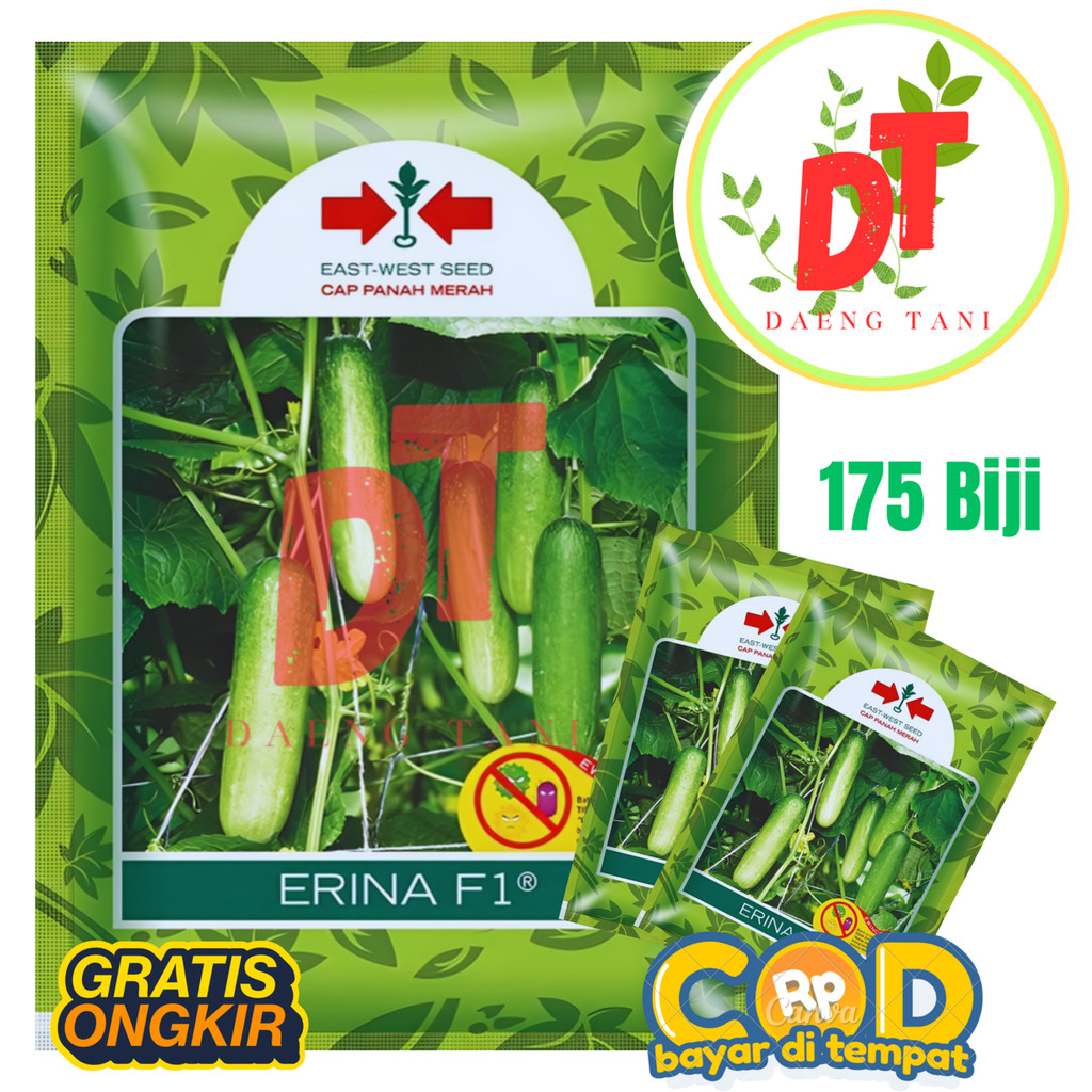 Benih Bibit Timun Lalap Baby ERINA F1 175 Biji Cap Panah Merah Tahan Virus Bebas Pahit