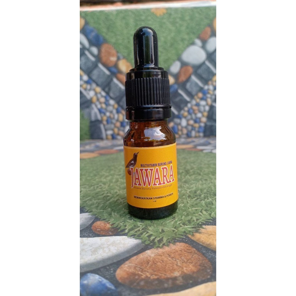 VITAMIN BURUNG JAWARA ANIS KEMBANG Suplemen Spesial anis kembang Jawara untuk Daya Tahan Tubuh dan G