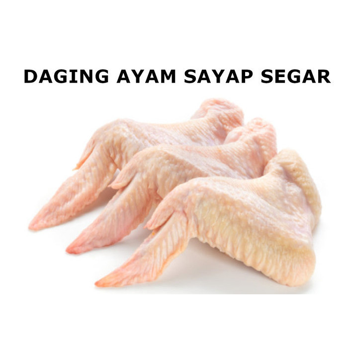

DAGING AYAM SEGAR SAYAP 1/2 KG 500 GR