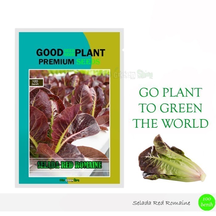 PREMIUM SEED - 100 Biji Benih Bibit Selada Red Romaine F1