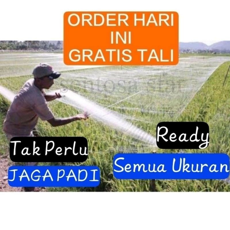 [gratis tali] JARING 0.15MM / JARING BURUNG EMPRIT / JARING PELINDUNG PADI / JARING 0.12MM / JARING 