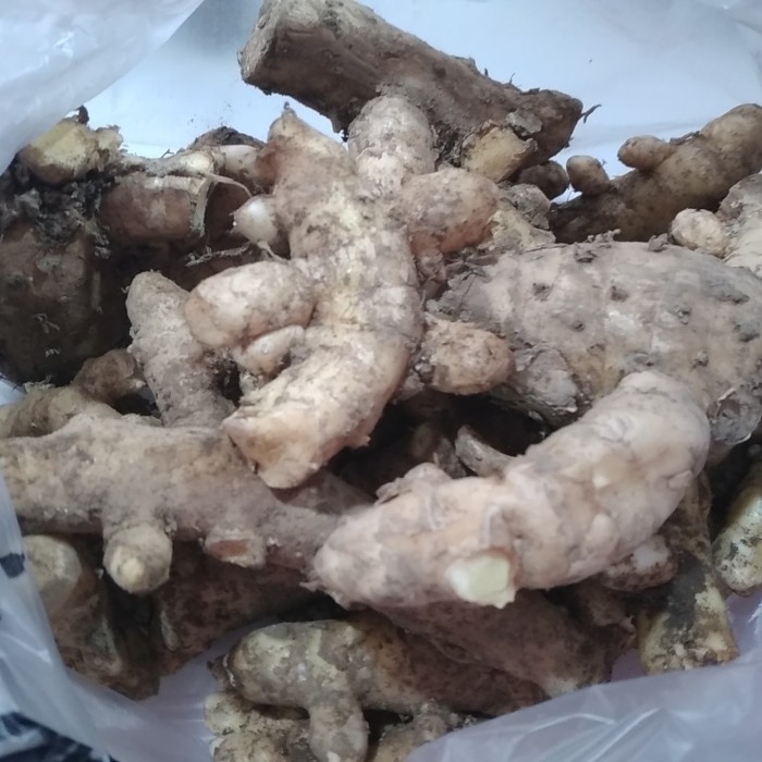 

Temu Mangga 100 gr