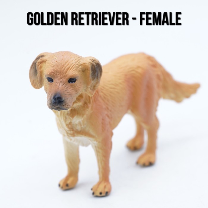 KORI Golden Retriever Female Betina Anjing Mainan Figure Binatang Miniature Hewan Animal Figurine Pa