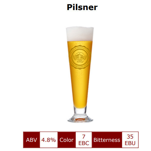 Imatton castle malting Belgian PILSNER BEER 20L kit malt hops