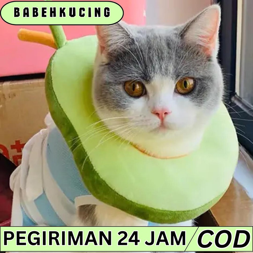 babepetshop COLLAR BUAH BANTAL Bantal Leher Pet Collar Kucing Anjing Motif Makanan Food Corong Dog C