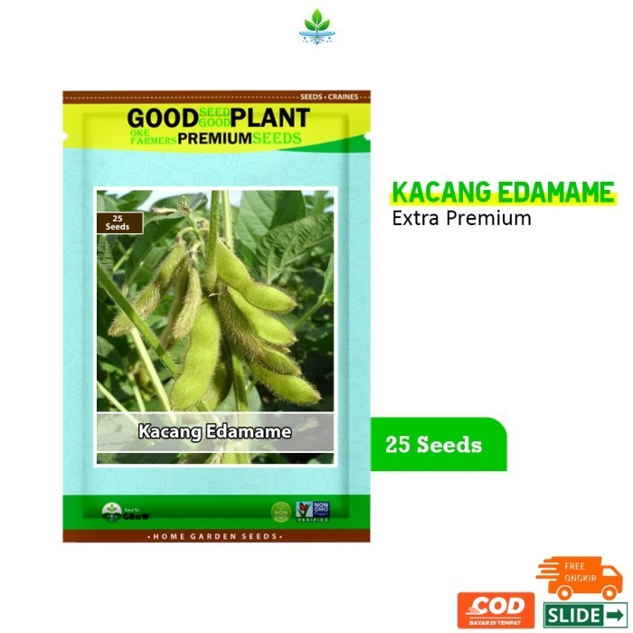 Extra Premium - 25 Biji Benih Kacang Kedelai Edamame Unggul F1