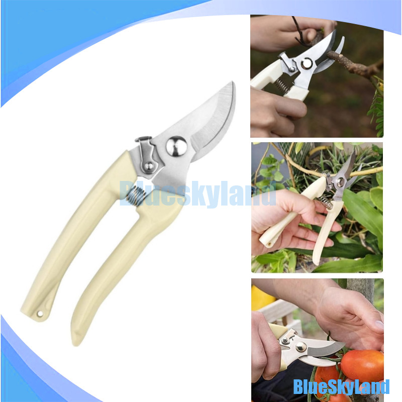 Peralatan Berkebun Stainless Steel / Gunting Dahan Ranting / Gunting Dahan / Gunting Tanaman Dahan R