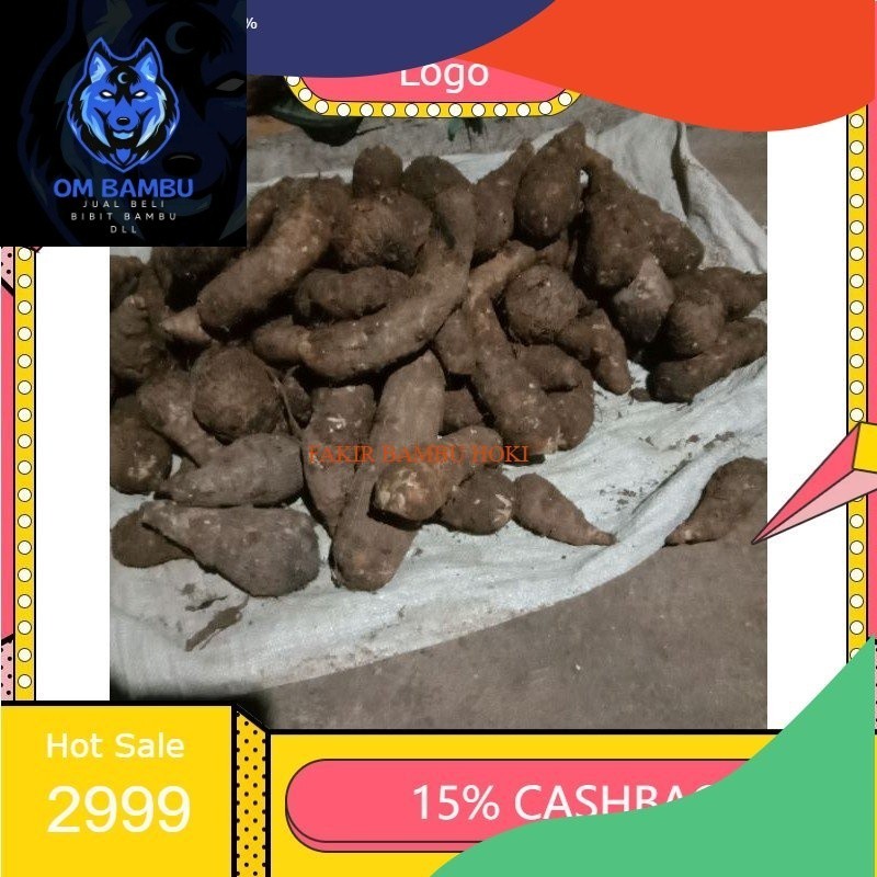 

TERMURAH terbaik termurah umbi talas kimpul . talas gajah lokal1 kg PROMO