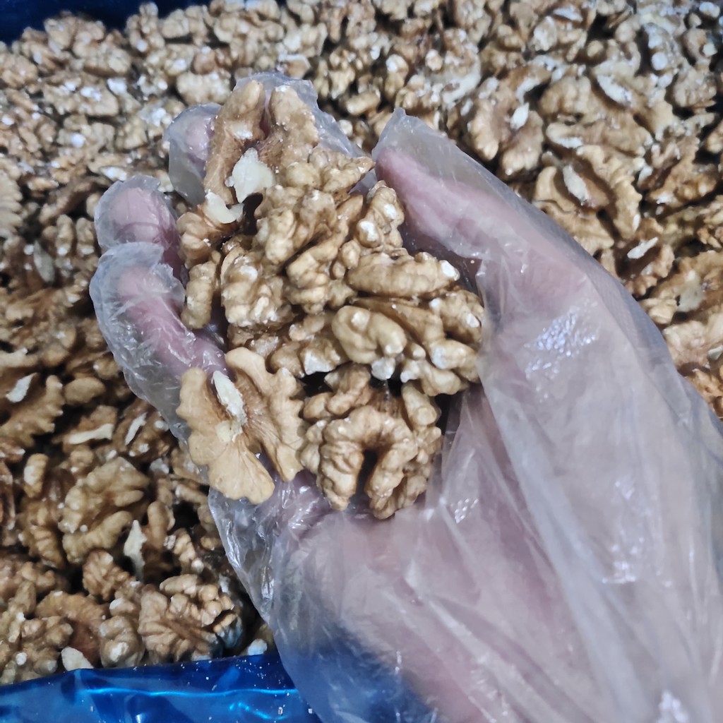 

MAJESTA PREMIUM EXTRA WALNUT 10KG