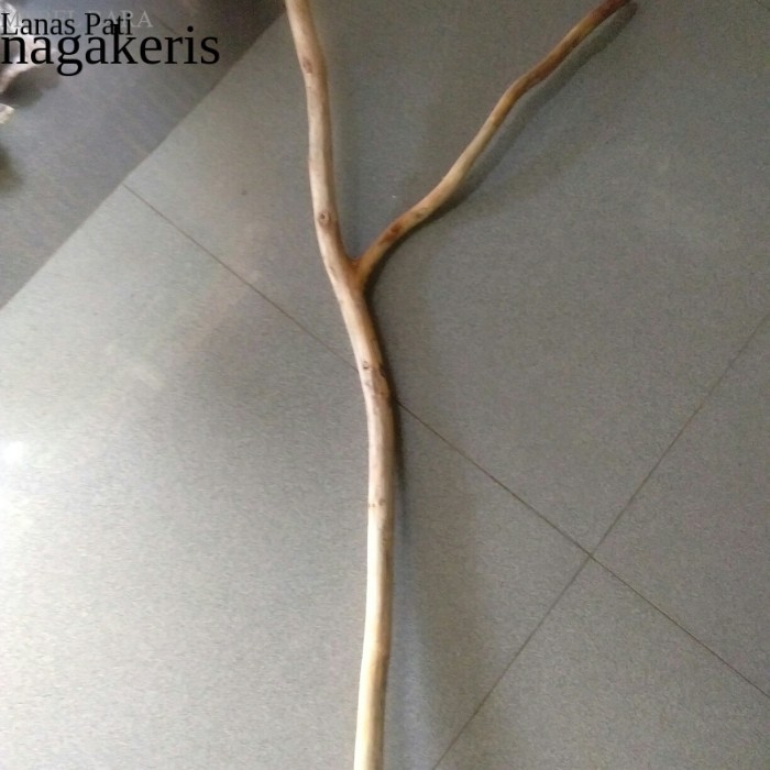

ranting kayu jati cabang 50 cm - ranting kayu macrame murah terlaris FXN8 XD9