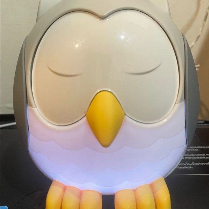 PROMO ! essentials owl diffuser essential young oil living