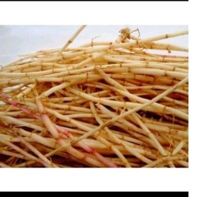 

akar alangalang sgar akar ilalang herbal 500 g