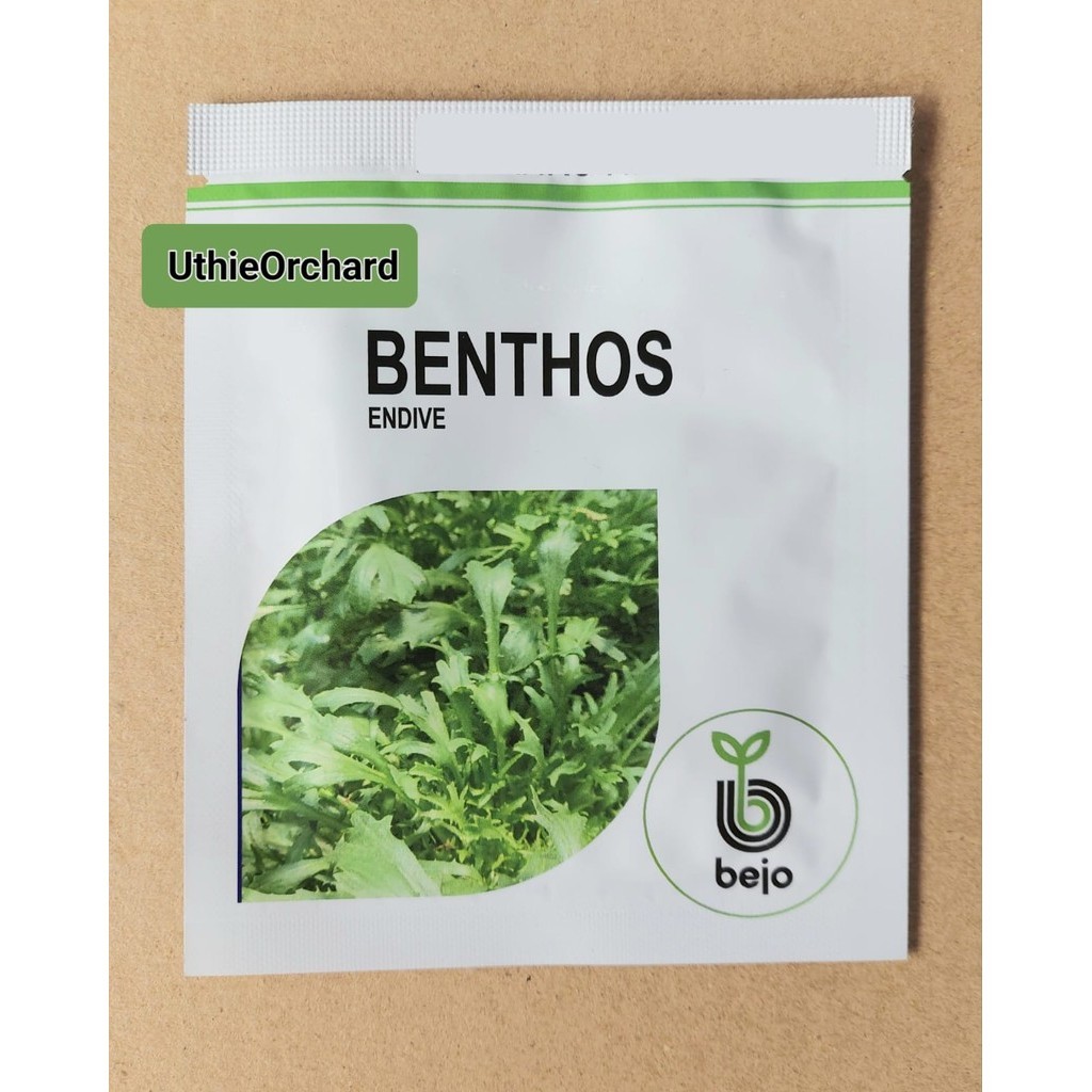 Benih Bejo Seed - Endive Benthos Kemasan 1000 seeds