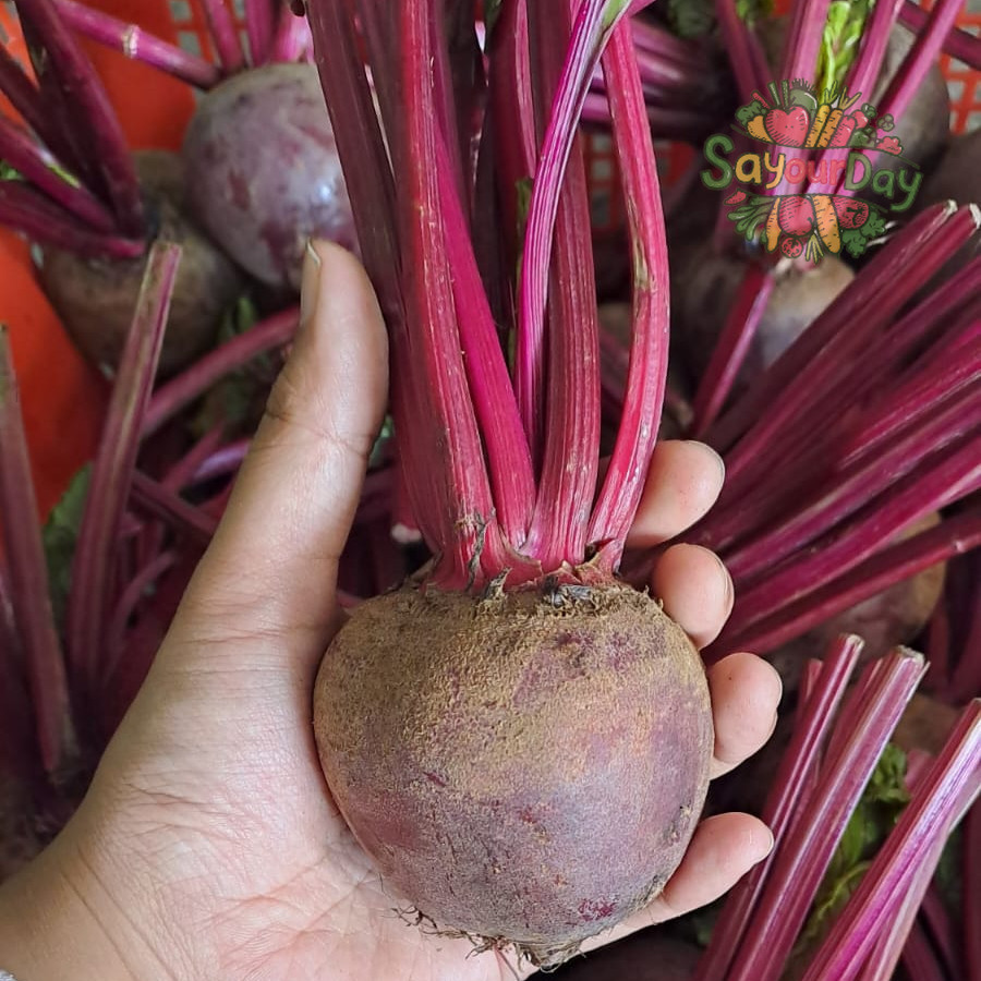 

BUAH BIT FRESH | BEET ROOT 1 KG