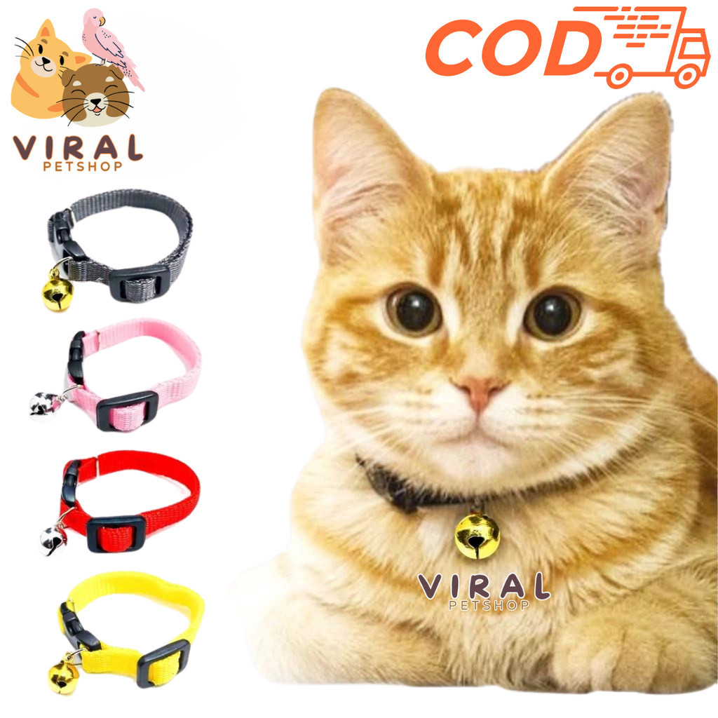 ViraL PetShop Kalung Kucing Anjing Musang Kelinci Hamster Polos Lonceng Ukuran Dapat Disesuaikan