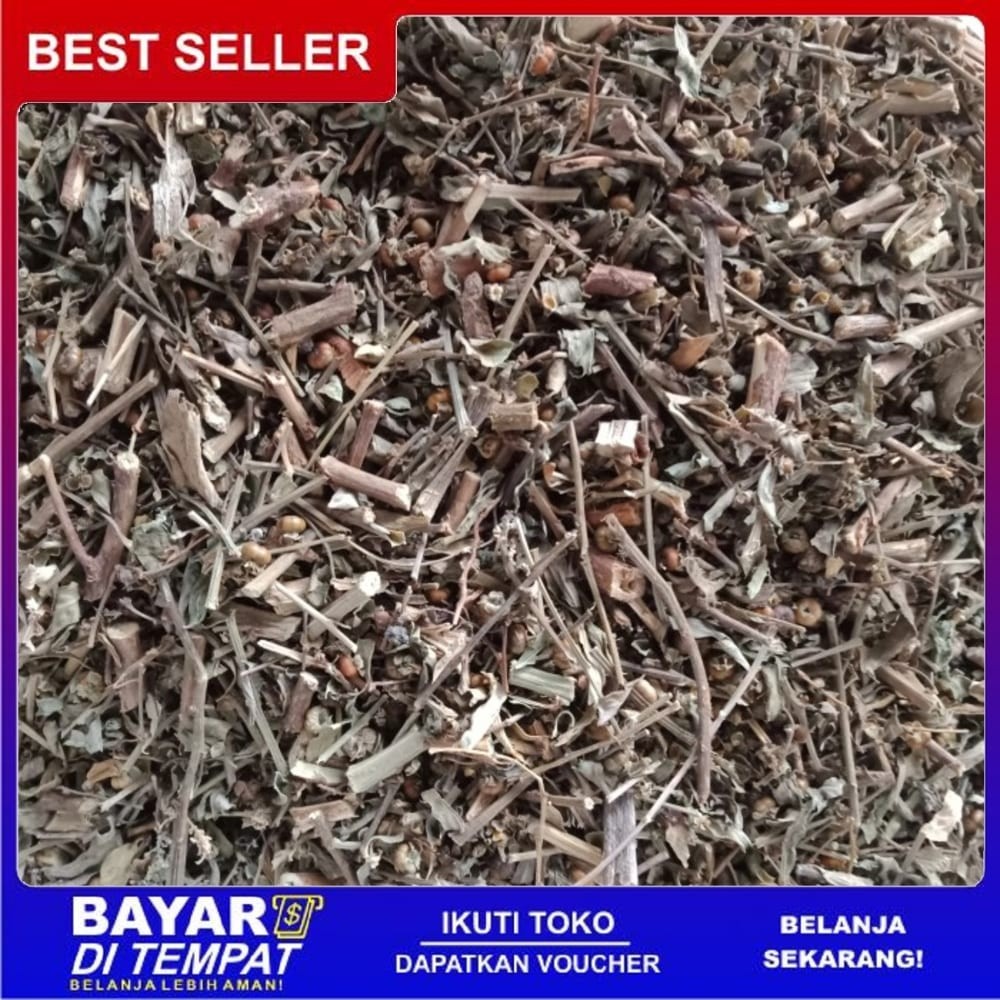 

OMH Terlaris Murah [250g] Meniran Kering Super Murah