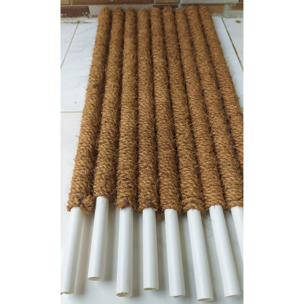 turus penyangga tanaman 80 cm turus rambatan tanaman janda bolong