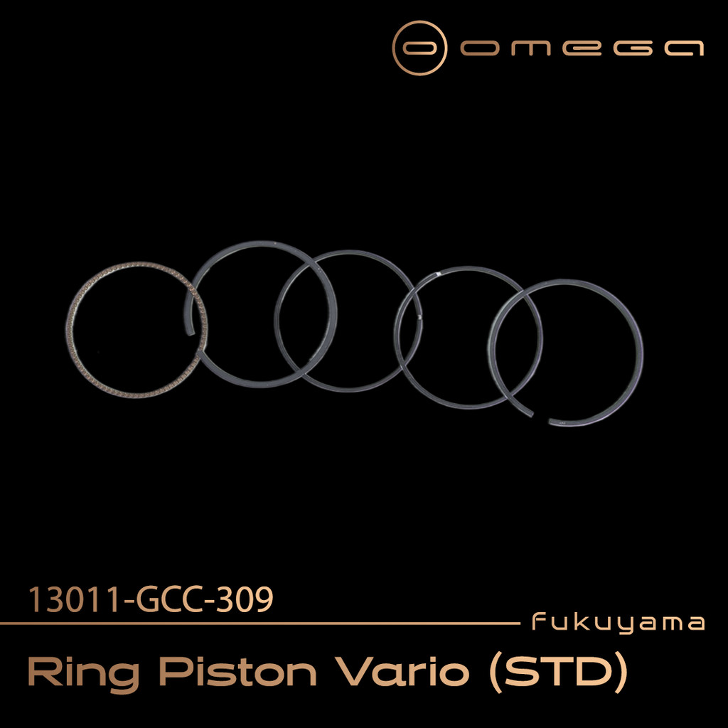 Fukuyama Ring Seher / Ring Piston Vario 110 / Vario Techno 110