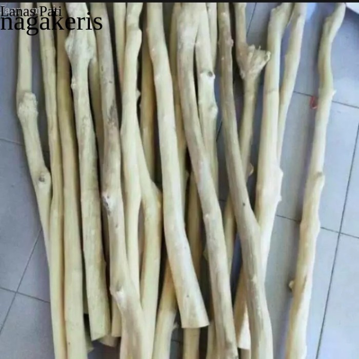 

RANTING POHON JATI KAYU RANTING DEKORASI PANJANG 100-120CM murah FXN7 XD9