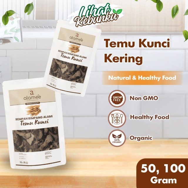 

ALAMEE Temu Kunci Kering Fingerroot Rempah Rimpang Alami Iris LIHAT KEBUNKU