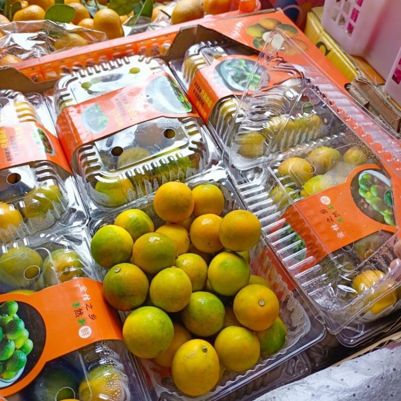 

Jeruk kimkit bisa di makan sama kulitnya - BEST Fresh Food