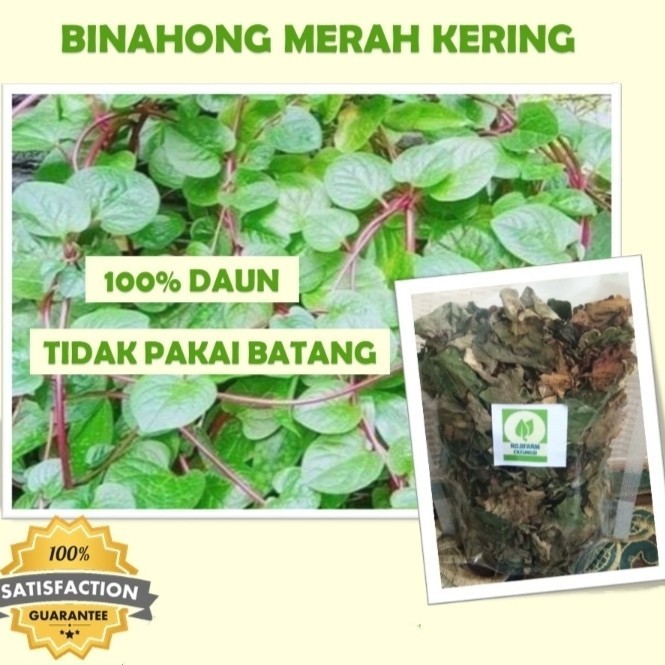 Daun Binahong Kering 25gr