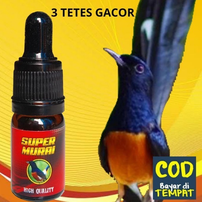 Super Murai Penggacor Murai Vitamin Burung Murai Vitamin Murai