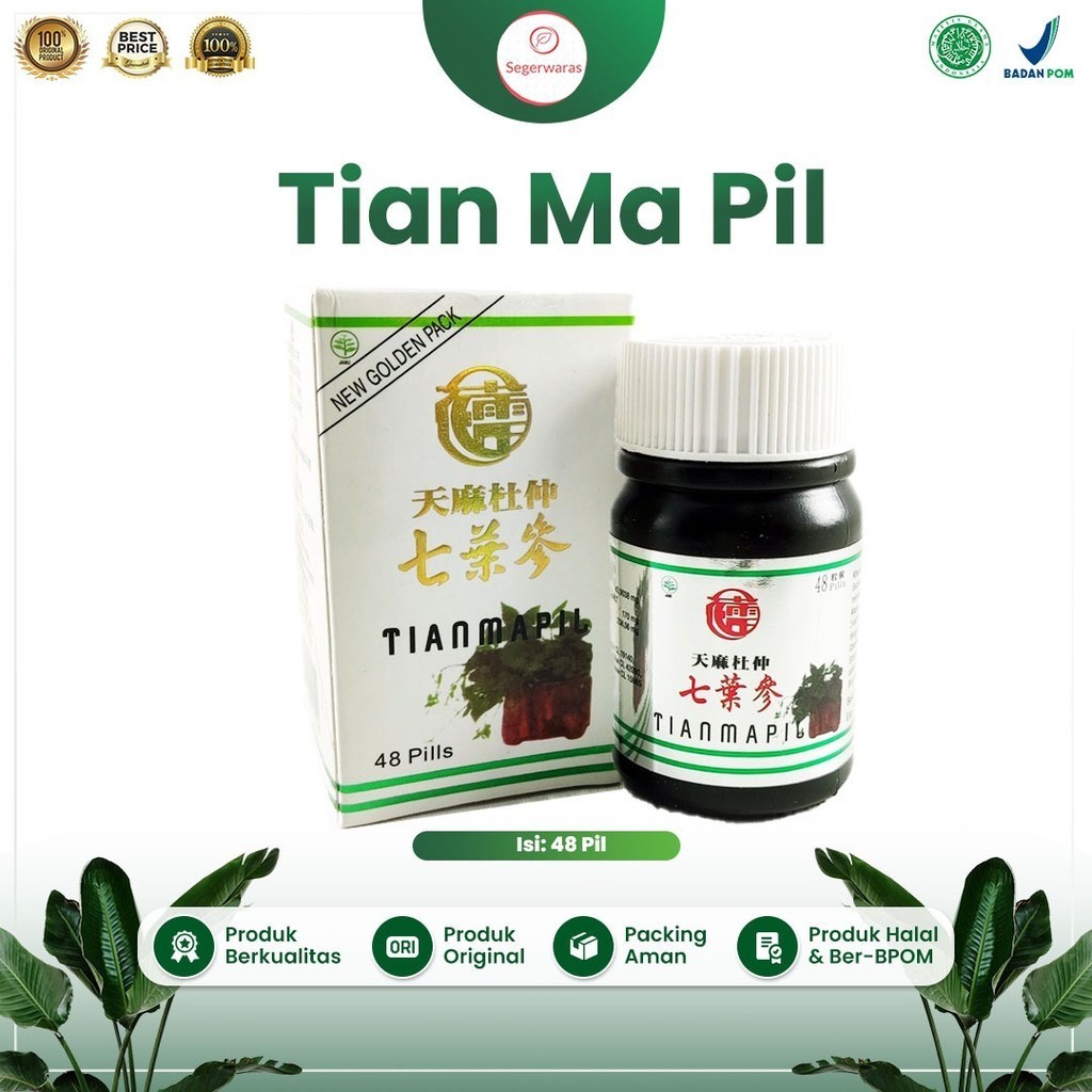 ☘️Segerwaras☘️ Tianma Pil Tian Ma Tu Chung Seven Leave Ginseng Original  Obat Herbal Asam Urat Rematik Nyeri Otot Sendi Pegal Linu