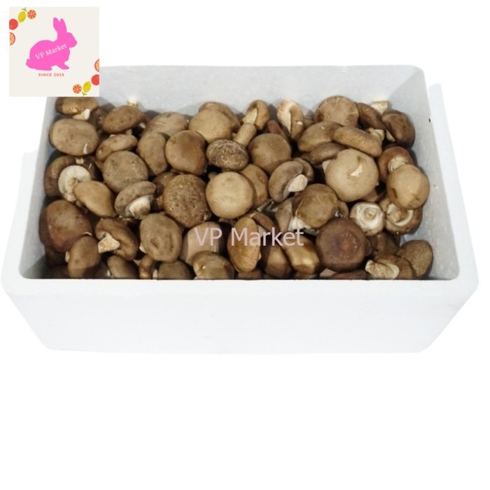 

Jamur Shitake Fresh 100 % 5 kg / Box