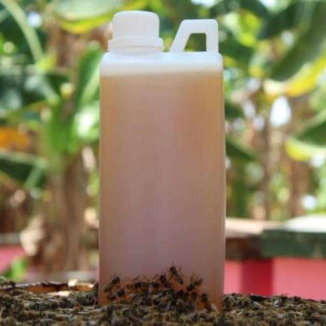 

1 liter Madu murni raw honey | Asli Tanpa Proses