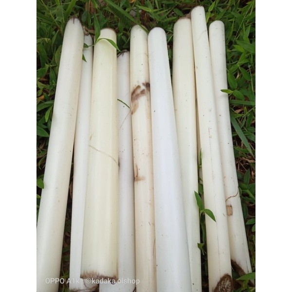

PROMO (Sayuran Ku)Ati Pisang kole/ 1 Kg Pisang Pale Menu Makanan Sehat Sayur Ati Pisang KADAKA OLSHOP02