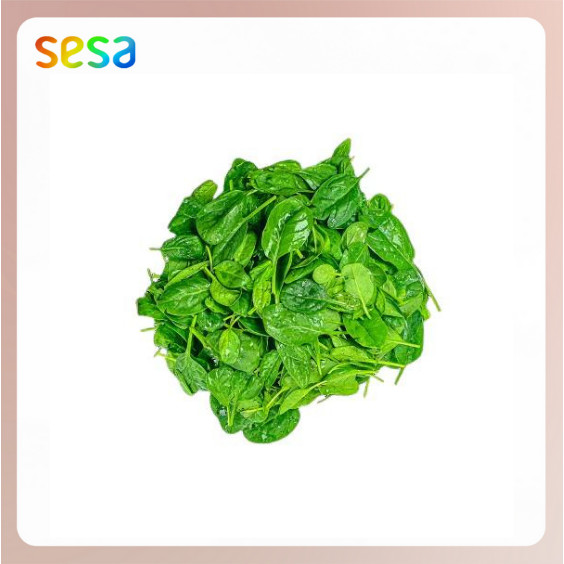 

SESA Baby Spinach Organik 100gr - Sayuran Fresh Sehat