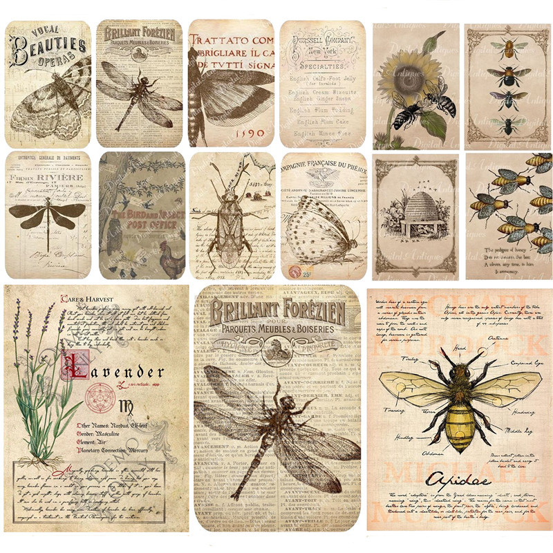 

20Pcs/Pack Vintage Insect Newspaper Sticker DIY Craft Scrapbooking Album Junk Journal Decorative Stickers
