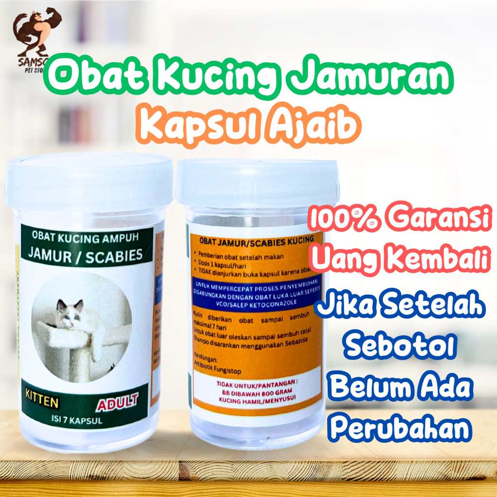 VITAMIN KUCING OBAT JAMUR SCABIES PALING AMPUH OBAT JAMUR ANJING KUCING KITTEN GRIFORCE ANTI JAMUR R
