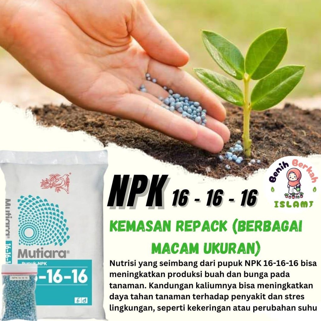 Pupuk Pelebat Buah Daun Dan Akar Npk 161616 Kompositum npk  16 sawit