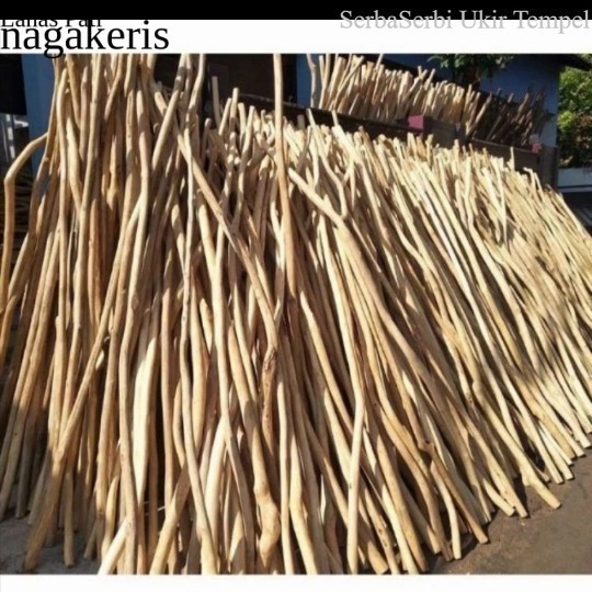 

Termurah ranting kayu jati 100 cm - ranting kayu macrame -ranting FXN8 XD9