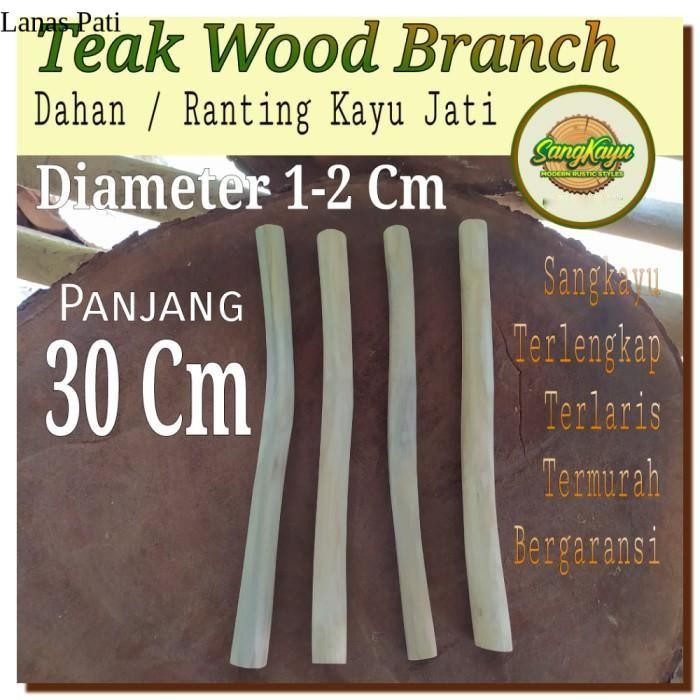 

Teak wood branch 30 cm macrame dahan ranting kayu jati bahan kerajinan - AMPLAS HALUS - AMPLAS HALUS XD6