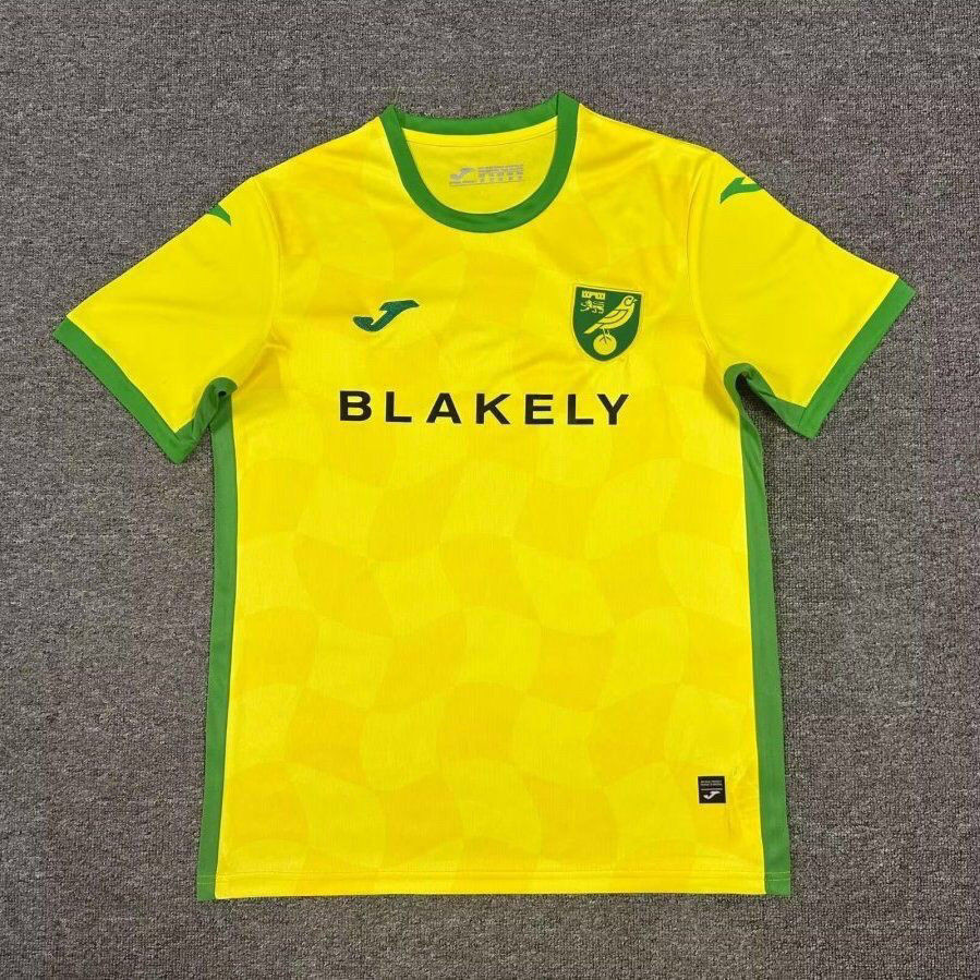 Jersey Norwich Pakaian Sepak Bola Lengan Pendek Musim 24-25 T shirt pria