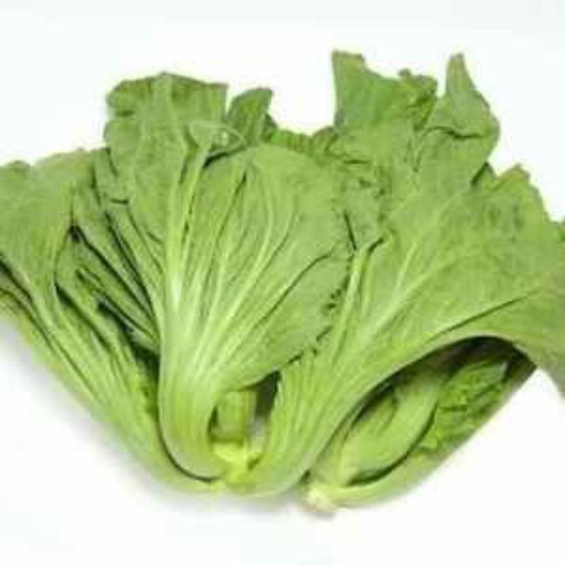 

Sawi Pahit/Sayur Pait Segar - BEST Fresh food
