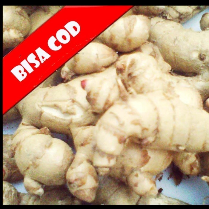 1KG kunyit putih segar dan sudah bersih