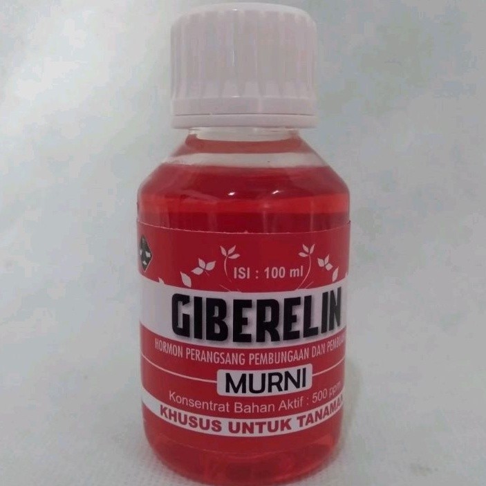 GIBERELIN MURNI 100ml ORIGINAL